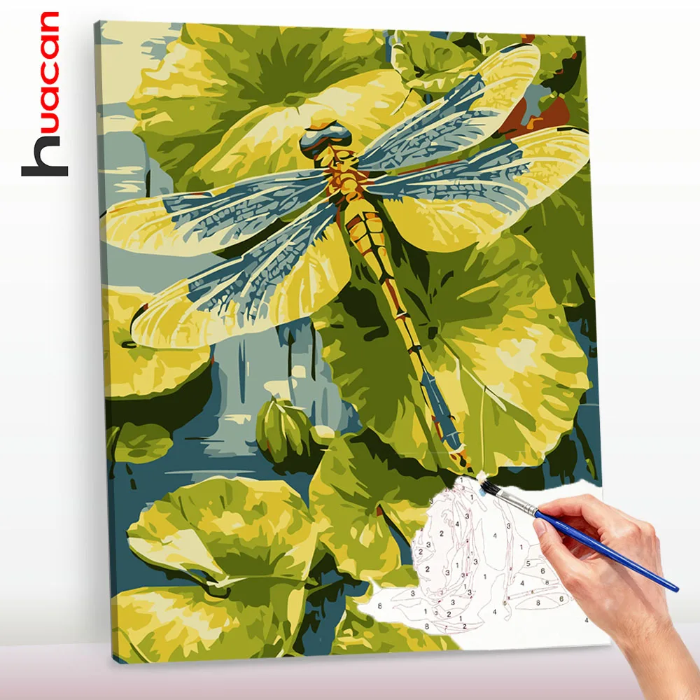 Huacan Dragonfly Pa…