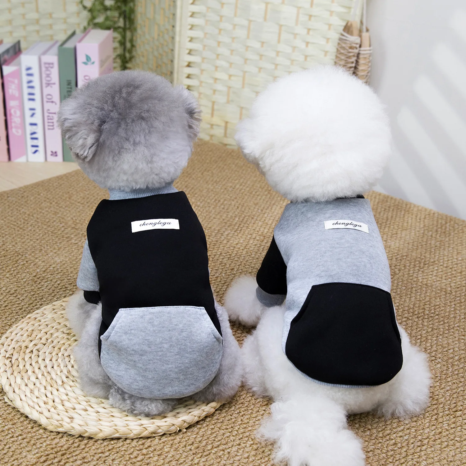 Pet Autumn and Winter Contrasting Hoodie Teddy Cat Home Base Shirt Dog Clothes for Small Dogs Puppy Clothes