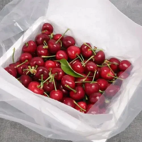 

Fishing boat anchor Decals & Bumper creative&funny stickers for cartoon fans&lover,high quality for car trucks motorcycles