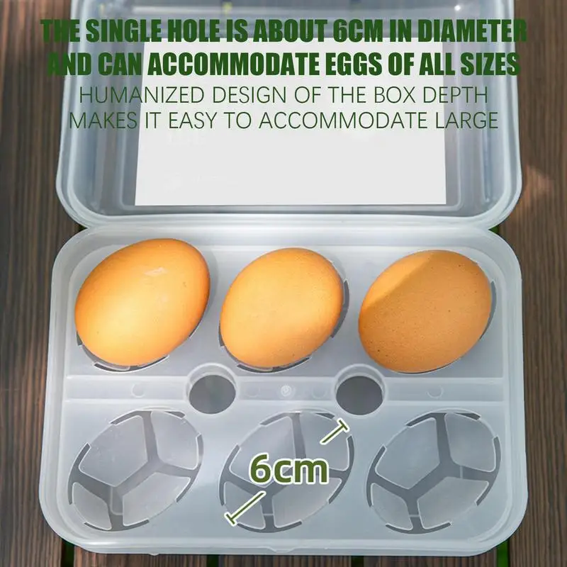 6 Girds Egg Holder for Refrigerator Outdoor Camping Transparent Egg Box with Egg Tray Shockproof Egg Storage Box