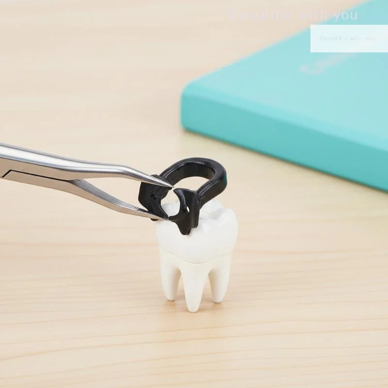 

Resin Soft Rubber Dam Clamps Set of 4 Universal Clips Barrier Rings for Professional