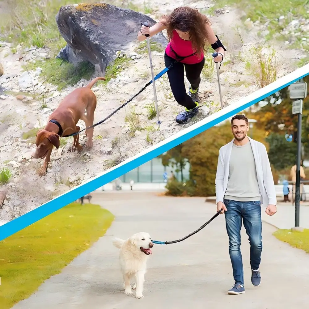 Thumbnail 2 - #42 Reflective Dog Leash Comparison Guide
