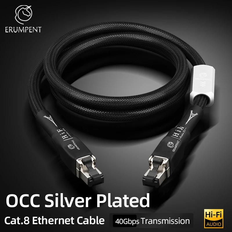 Câble réseau Cat 8 plaqué argent haute vitesse 40Gbps 2000MHz Anti-interférence avec bouclier câble Audio HiFi Ethernet LAN RJ45