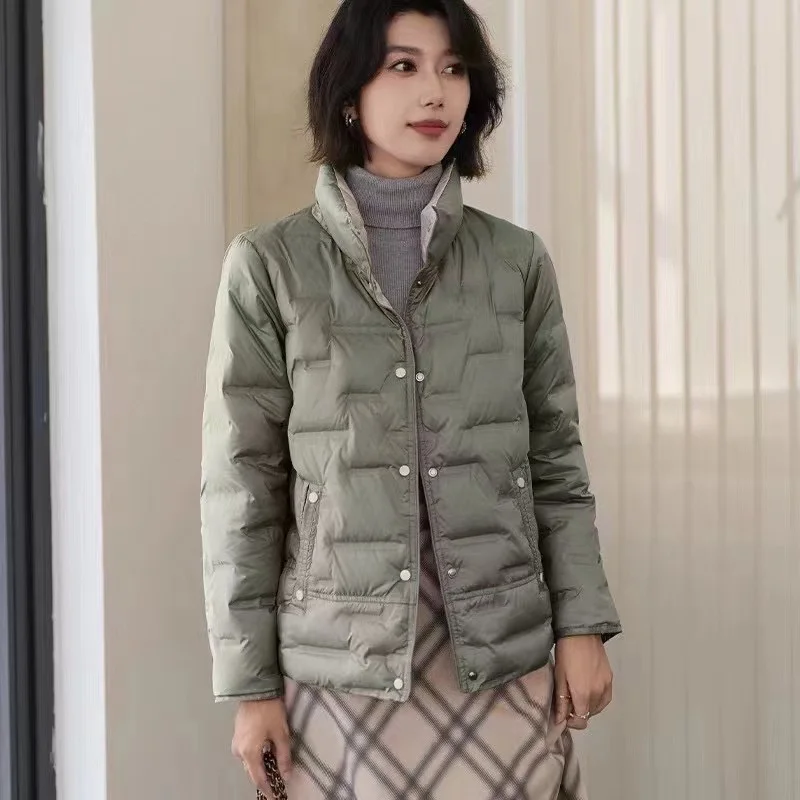 Single Breasted Down Jackets for Women, Casual Short Outwear, Lapel Fashion Parka, Light Puffer, Winter Jackets, 2024