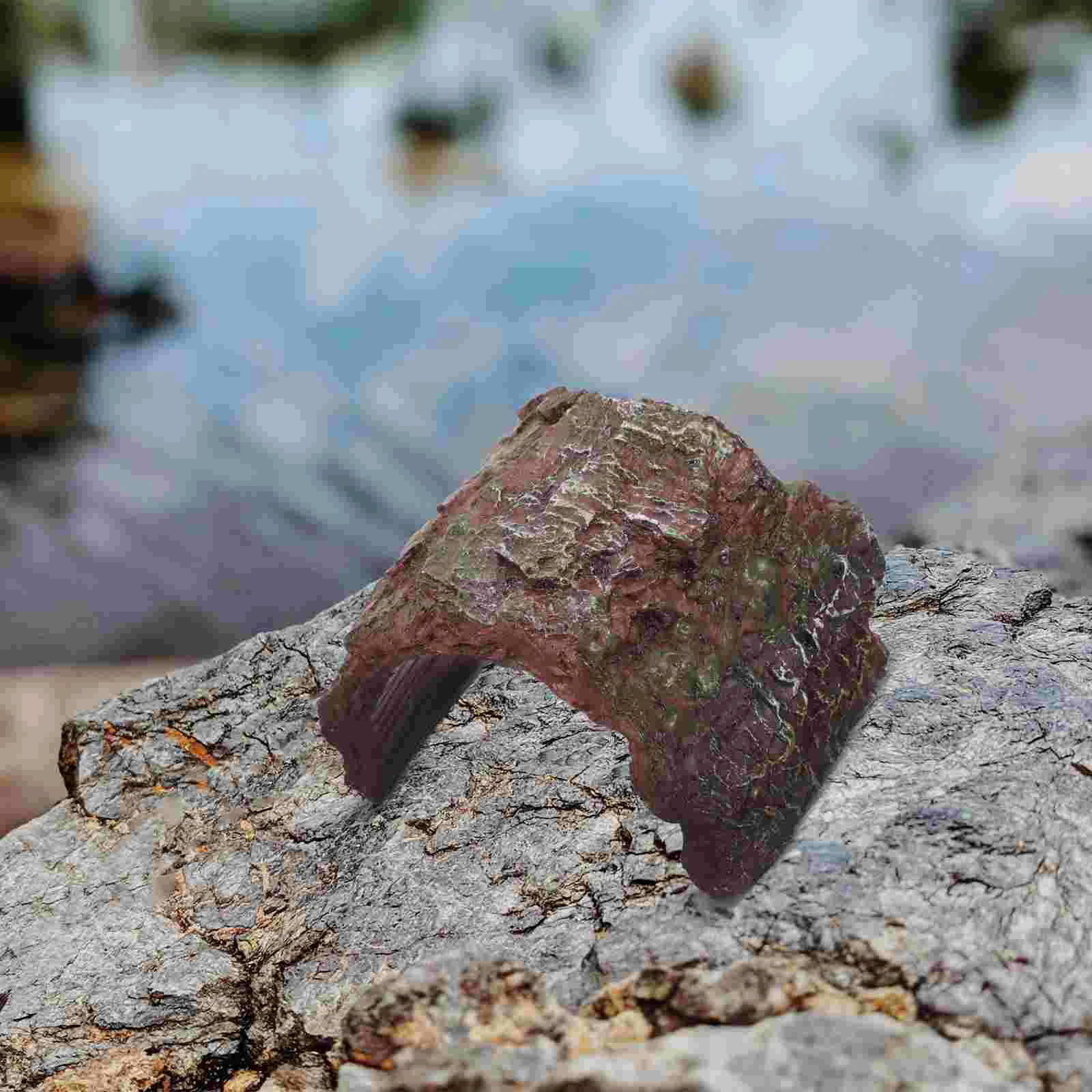 Réptil escondendo buraco sapo habitat criativo tartaruga rampa cobra esconder terrário acessórios tanque de resina caverna esconderijos e cavernas animal