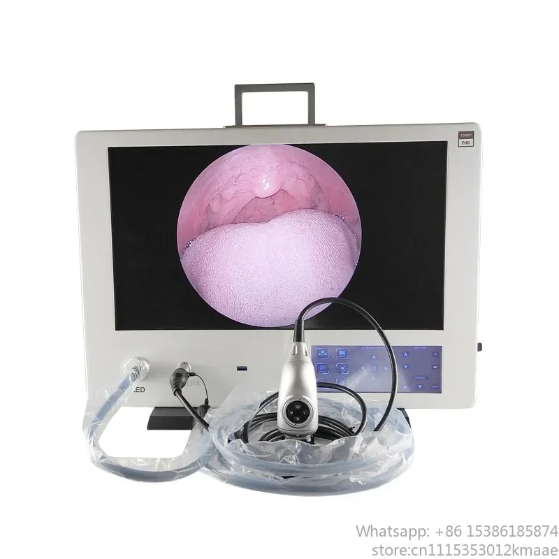 Economical Medical Endoscope Camera System for Small Clinics