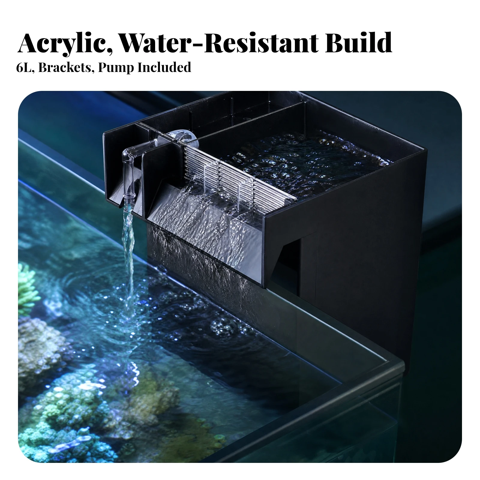 Clear Acrylic Hanging Fish Breeding Box with Internal Partitions for Aquarium Quarantine Use