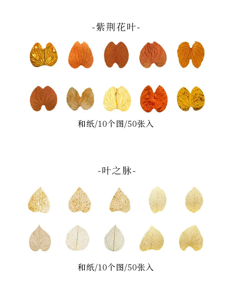 50 Stück gelbe Herbstblätter-Serie, kreative Pflanzenaufkleber für die Handkonto-Dekoration – Detail 9