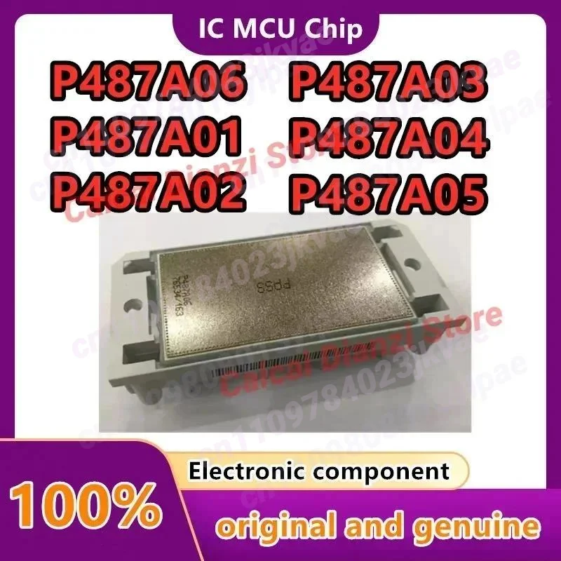 P487A06 P487A05 P487A04 P487A03 P487A02 P487A01 P487A