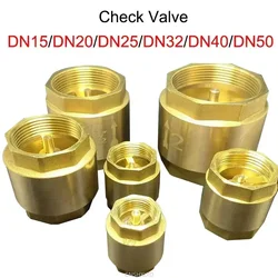 Bronze Check Valve Spring Vertical Type NPT Internal Thread Check Valve 1/2