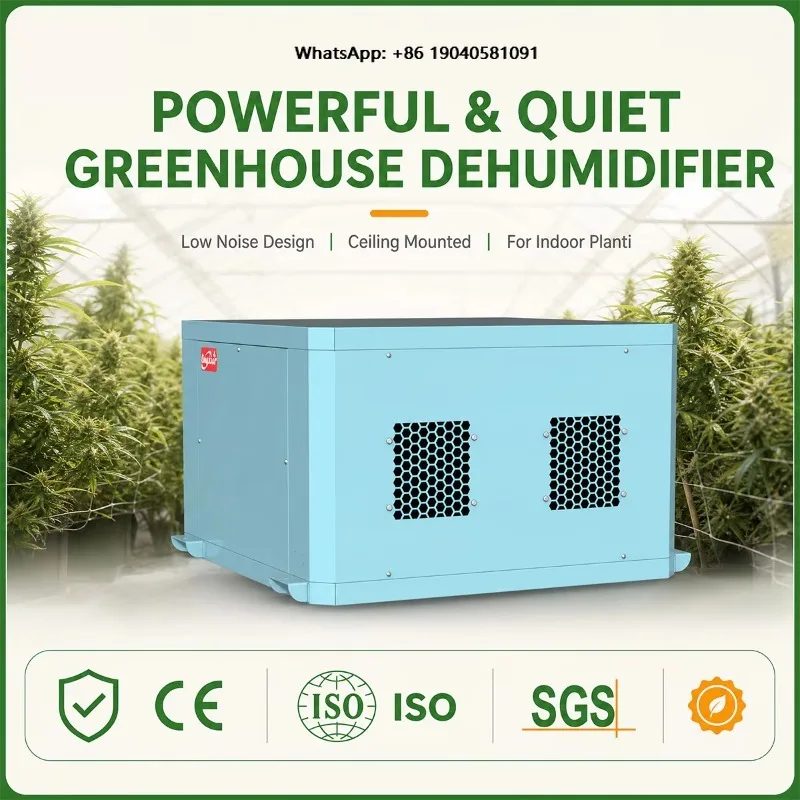 Powerful Greenhouse Dehumidifier Ceiling Mounted Dehumidifier Low Noise Level for Commercial Indoor Planting Systems