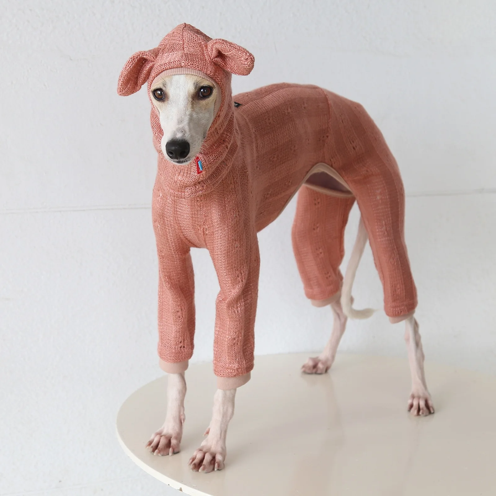 Lieflijke, warme trui met hoge hals en capuchon, met vier poten, voor kleine greyhounds, geschikt voor lente en herfst, en voor kleine tot middelgrote whippet-honden.