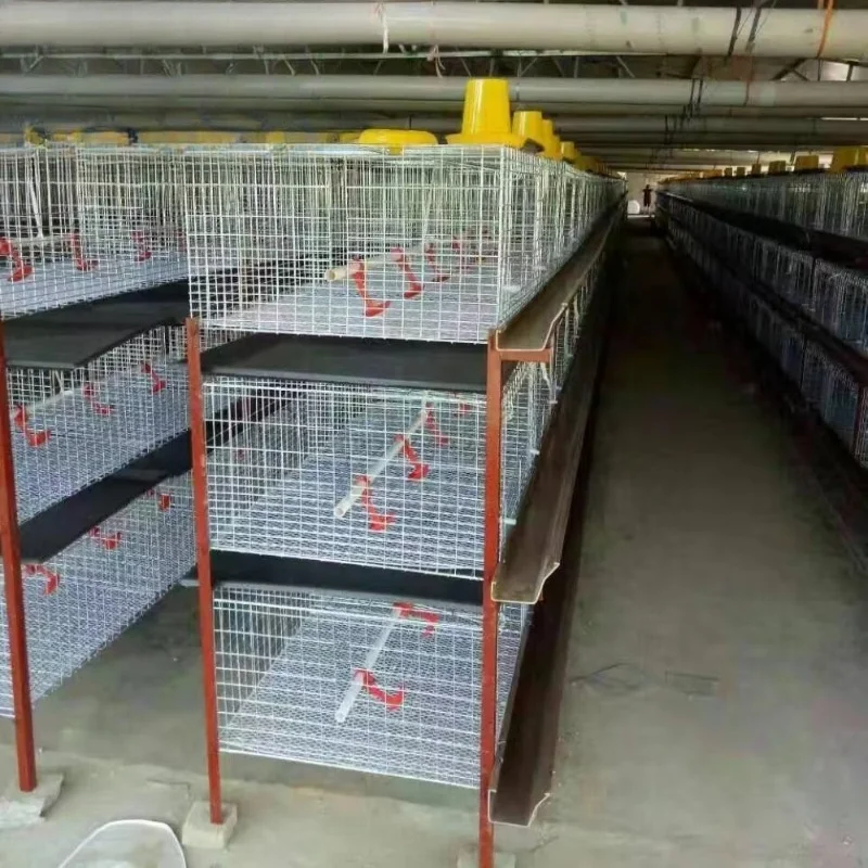 New Breeding Egg-laying Broiler Poultry Layer Cage House Farm Equipment Welding Galvanized Steel Wire Welding