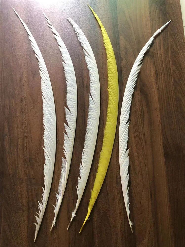 

5PCS 80-90CM White Zebra Pheasant Tails Feather Natural Super Long Lady Amherst Pheasant Plumes Carnival Backpieces Making Pluma