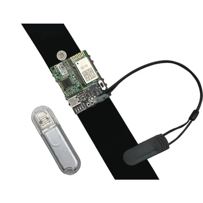 Brainwave Chip & Module: DIY Electronic Development Kit
