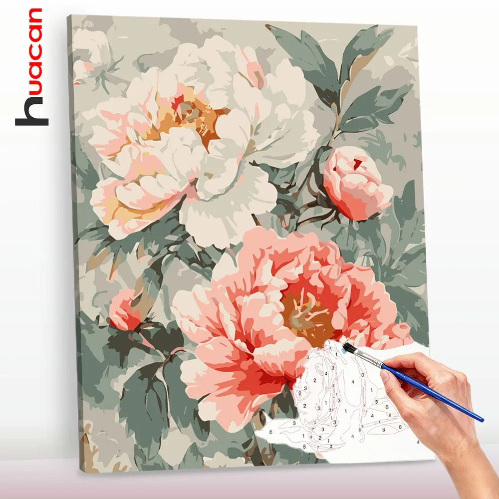 Huacan Neuheiten Ölgemälde Pfingstrose DIY Hobby Geschenk Malen nach Zahlen Bild auf Leinwand Wandkunst ﻿ ﻿ ﻿