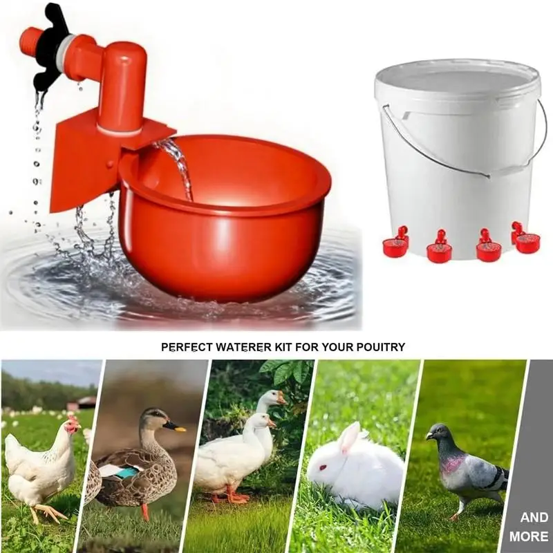 1/2 Pcs Chicken Drinking Bowl Drinking Water Quail Poultry Automatic Water Dispenser Duck Pigeon Free Range Chicken Farm Suppli