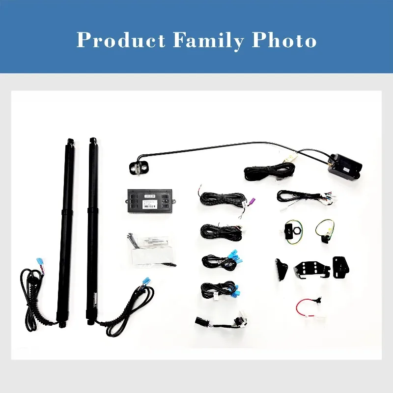 Exclusive Production Worldwide Electric Tailgate Hydraulic Electric Tailgate for  Atto 3 Custom  OEM Compression Price
