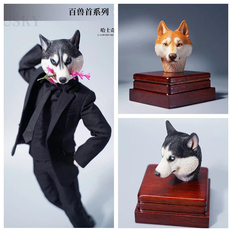 1/6 Action Figure Doll Accessories Siberian Husky Dog Head Sculpt With Animal Hand For 12