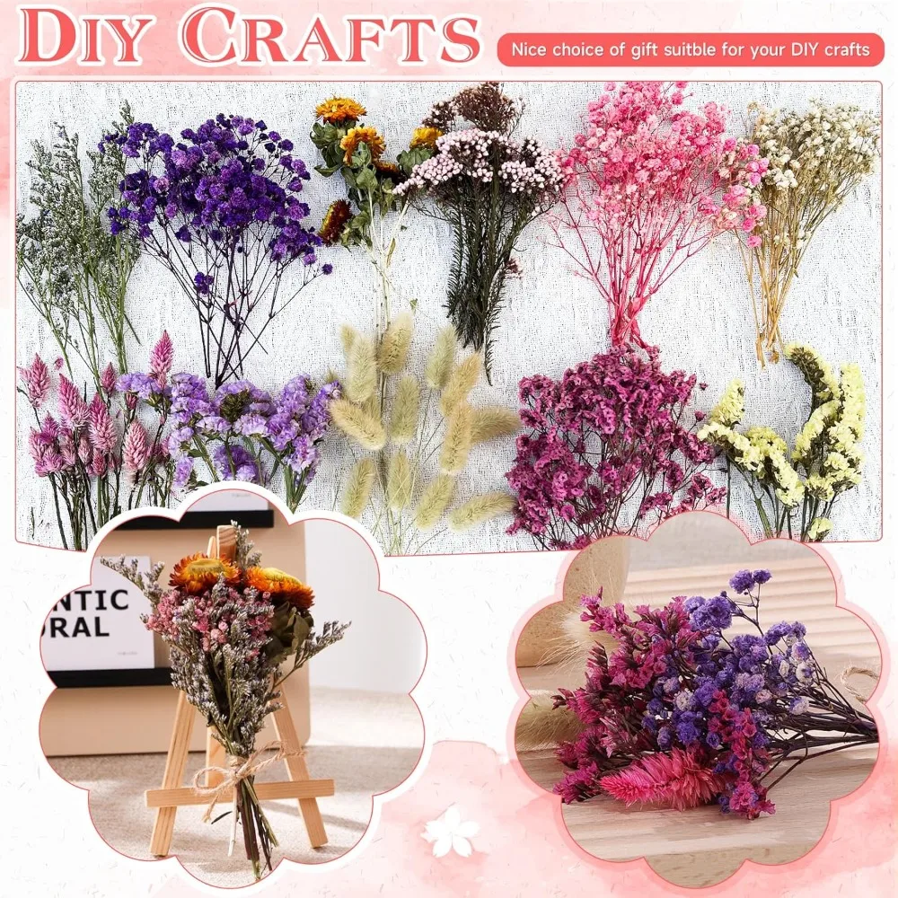 Thumbnail 2 - #24 Trending Dried Flowers Right Now