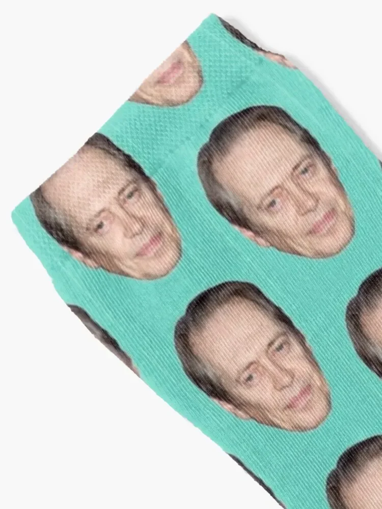 Steve Buscemi Socks cool new year Run Socks For Men Women's