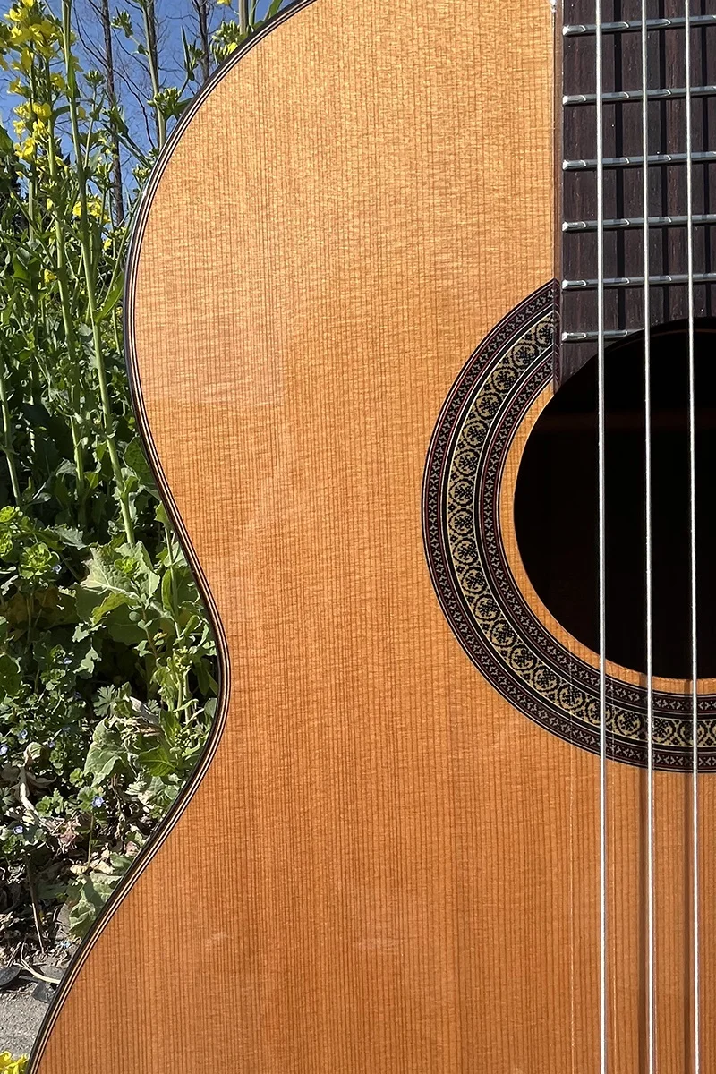 Aiersi  Music Musical Instruments All Solid Cedar Top Rosewood Classical Guitar with High Quality