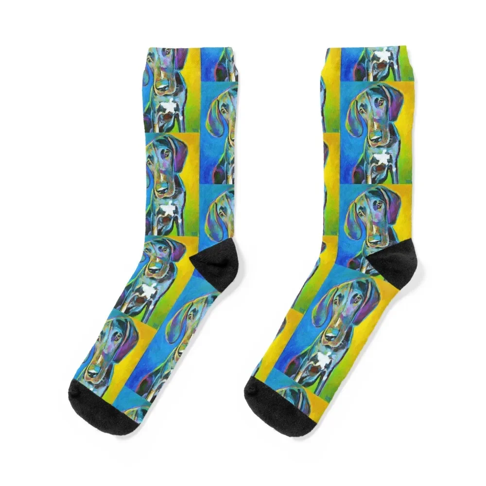 

Colorful GREAT DANE Painting by Robert Phelps Socks man halloween Socks Men Women's