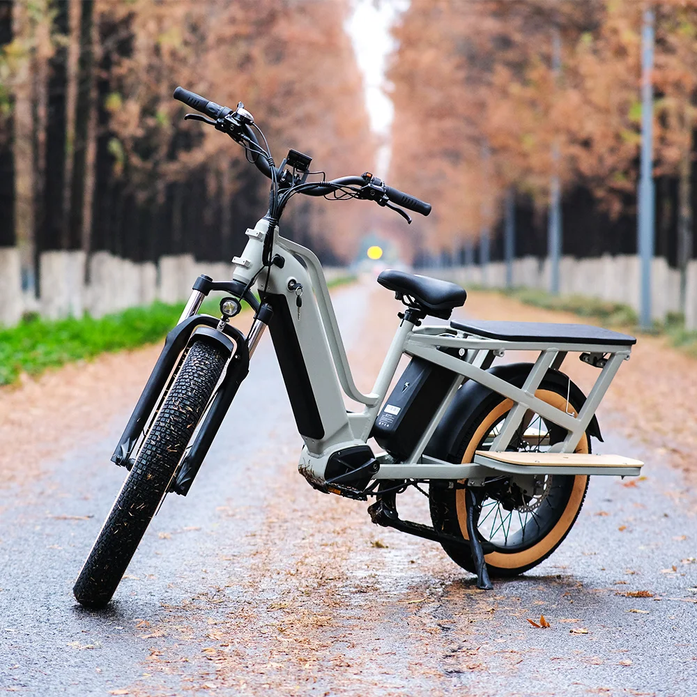 

2-Wheel Electric Cargo Bike with 20Ah 500w 1000w Dual 48v Lithium Battery Integrated Disc Brake Electric Bike for Families