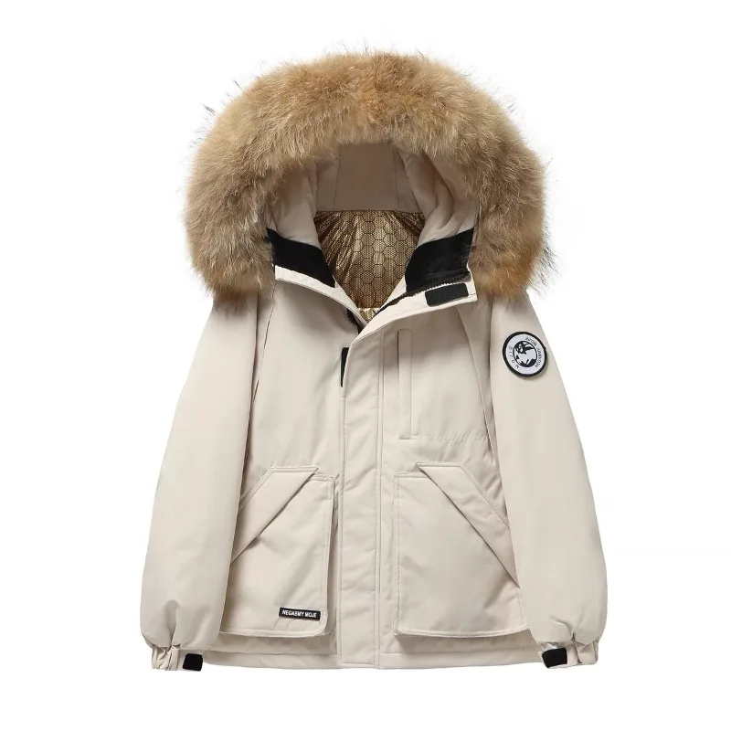 Korean Version Park… - image