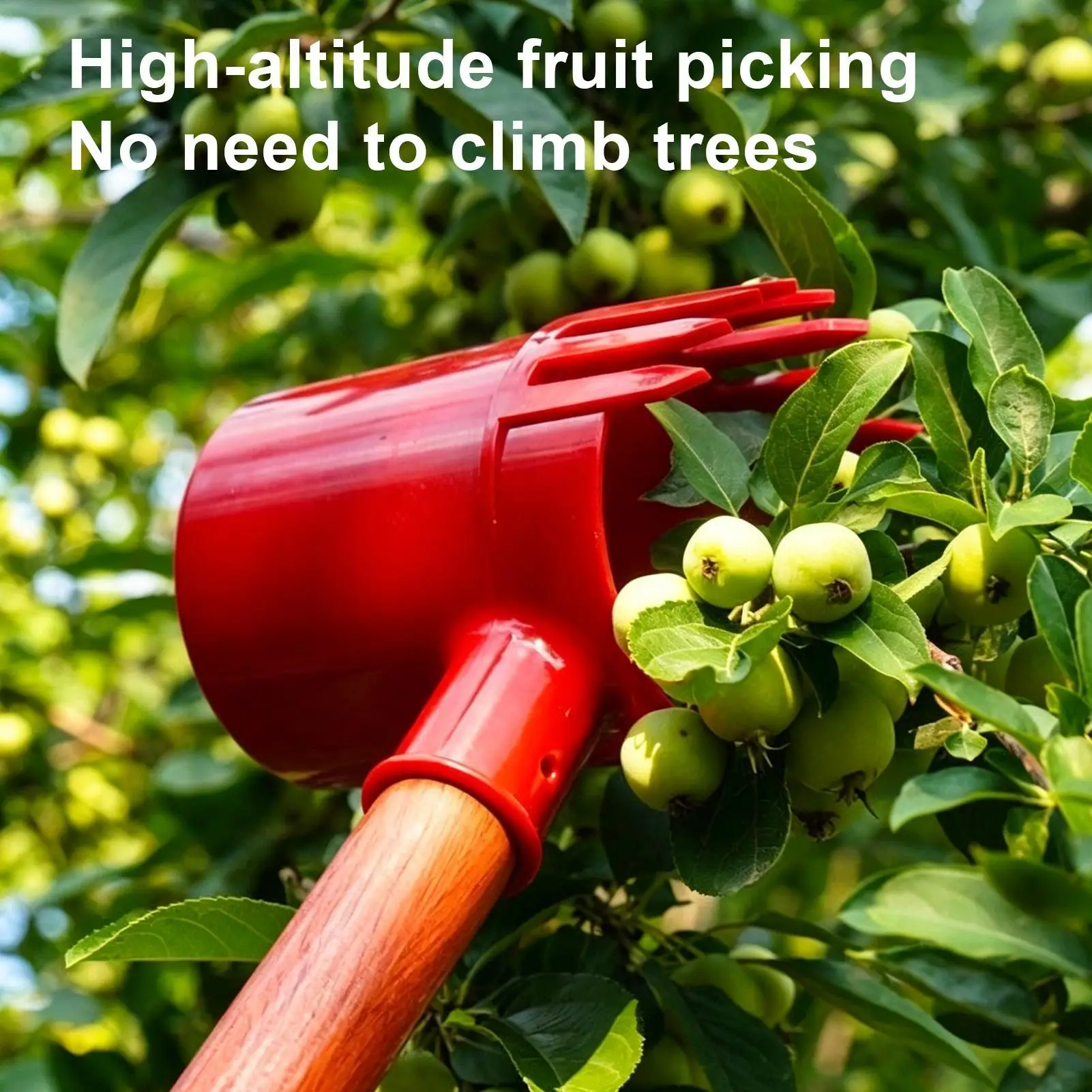 Berry Picker Thickened Harvesting Scoop Portable Durable for Jujube Blueberry Tomato Strawberry Hawthorn Garden Farm Orchard
