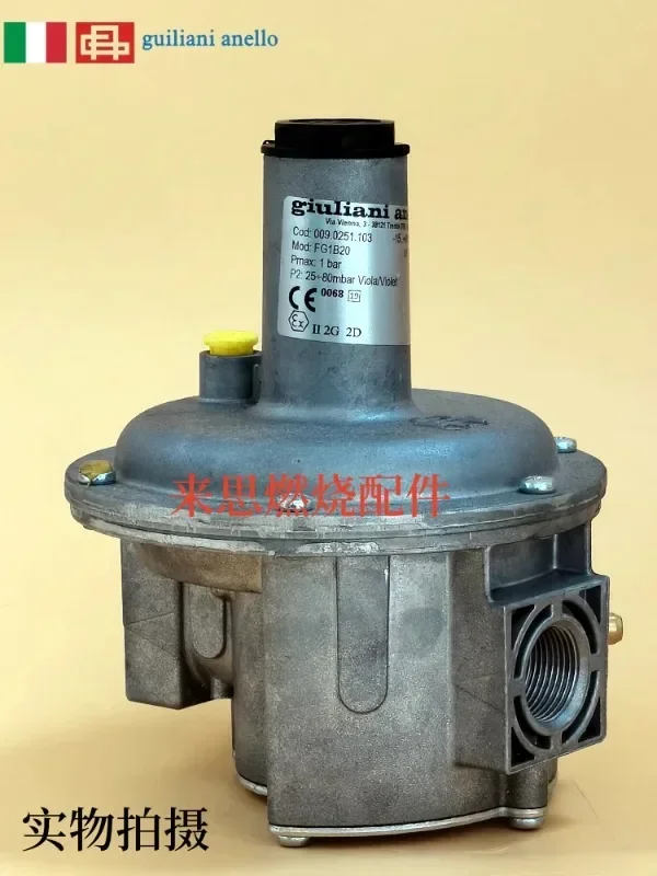 Italian imported Giuliani gas pressure regulating valve pressure reducing valve FG1B15 20 25 32 40 50