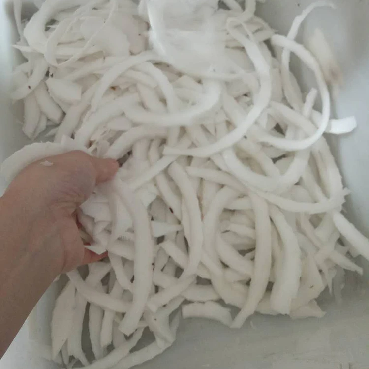 SX-100 Multi-Function Slicer for Coconut Lemon Spring Onion Potato - Kitchen Cutting Machine for Food Preparation