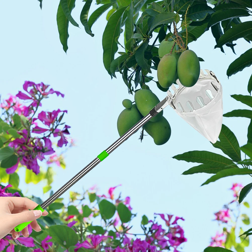 

Fruit Picker Pole W/ Storage Bag Stainless Steel Apple Picker Pole Fruits Picker Tool High Tree Orchard Picking Tool Garden Tool