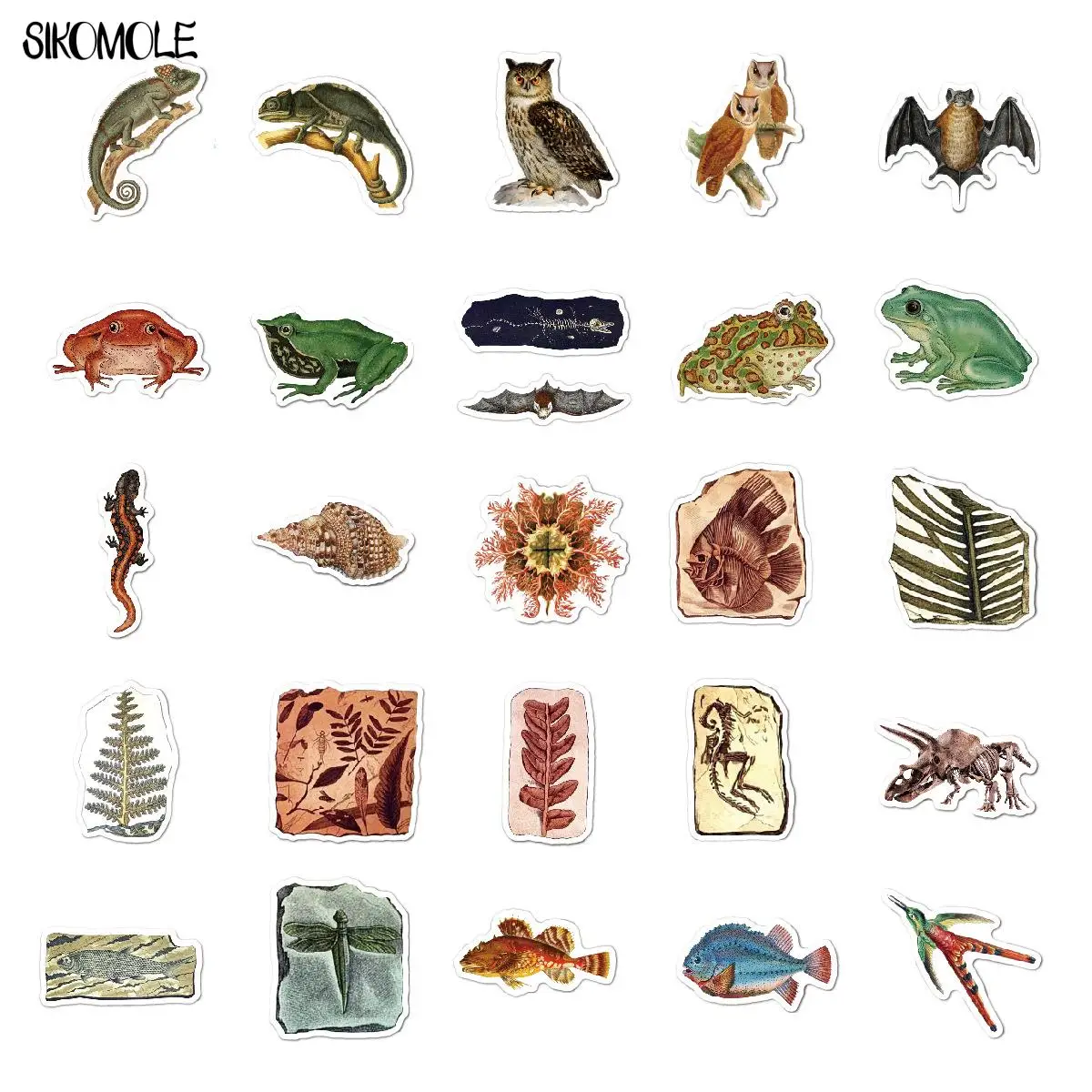 10/30/50Pcs Retro Animal Dinosaur Fossil Stickers Decals DIY Toy Luggage Laptop Phone Motorcycle Car Graffiti Sticker For Kid F5