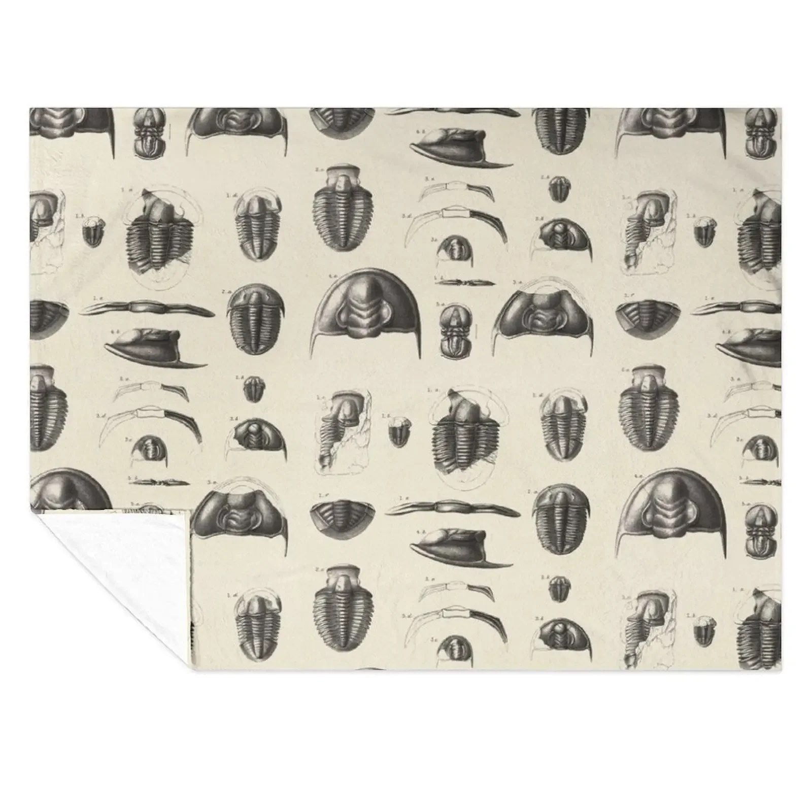 

1877 Vintage Etchings of Fossils, Trilobites. II. Primordial period. Throw Blanket Sleeping Bag Moving Luxury Thicken Blankets
