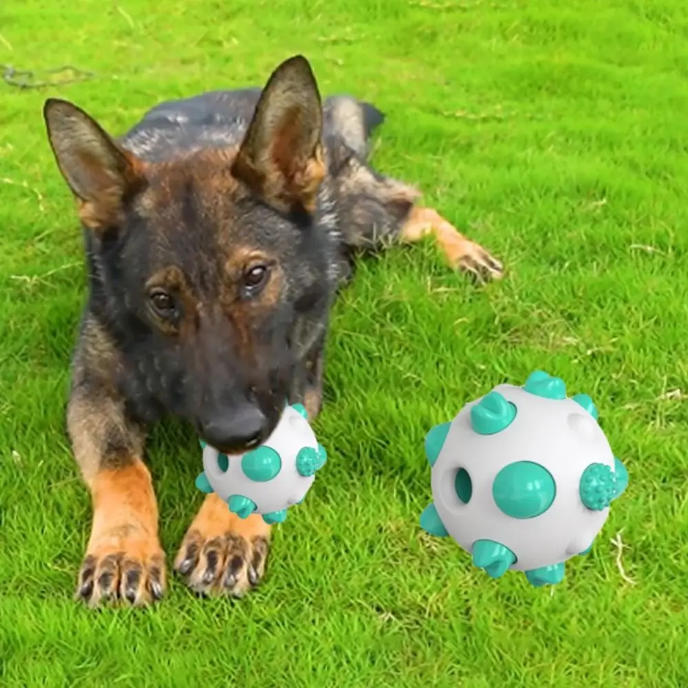 

Interactive Dog Toy Bite Resistant Pet Toy Ball Wear Resistant Non-slip Dog Training Toy TPR Pet Teeth Cleaning Ball Pet Gift