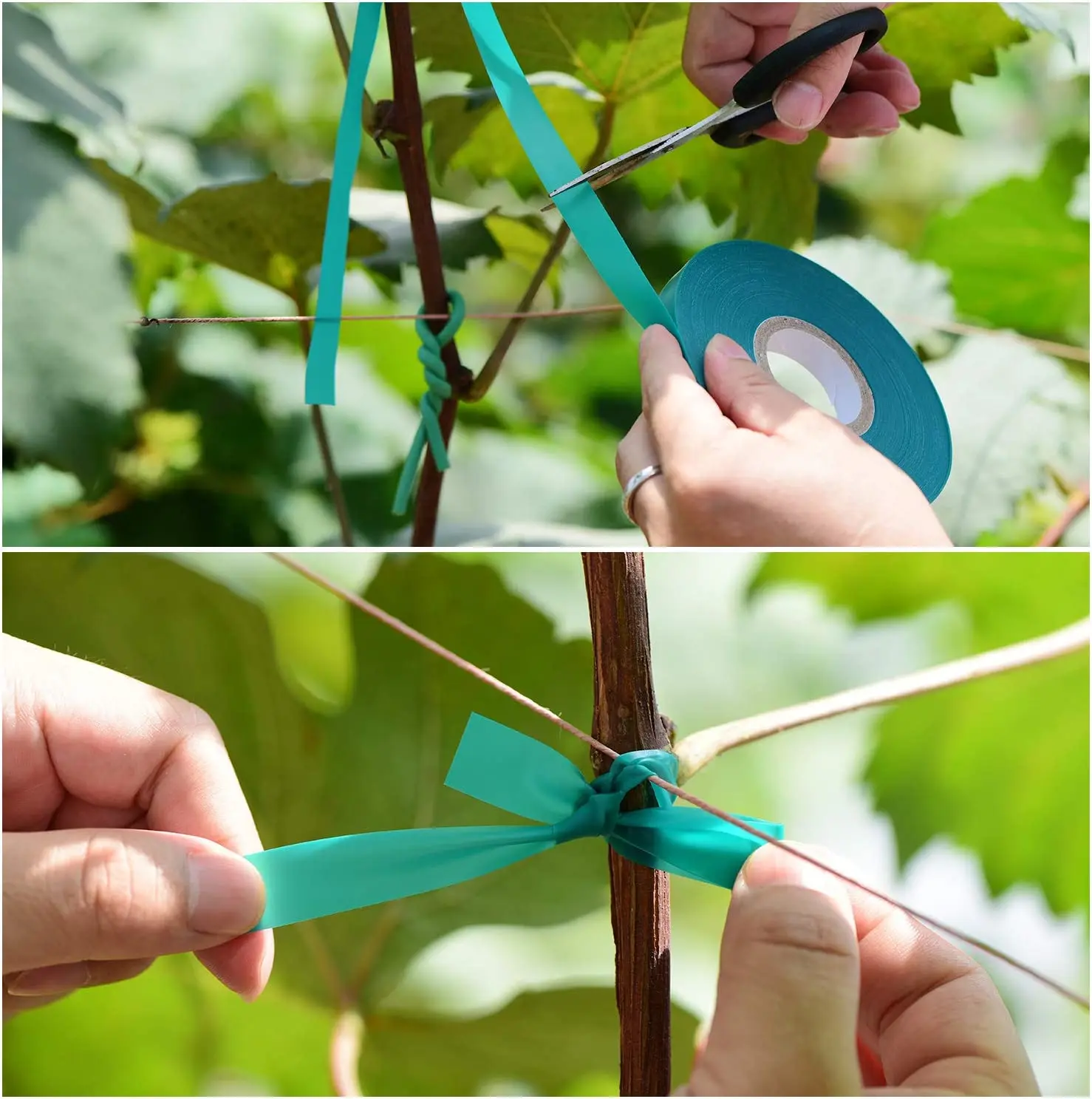 Imagem -04 - Pés x Wide Stretch Tie Tape Green Plant Garden Tie Estaca de Vinil Jardim para Ramos Escalada Plantadores Flores 150