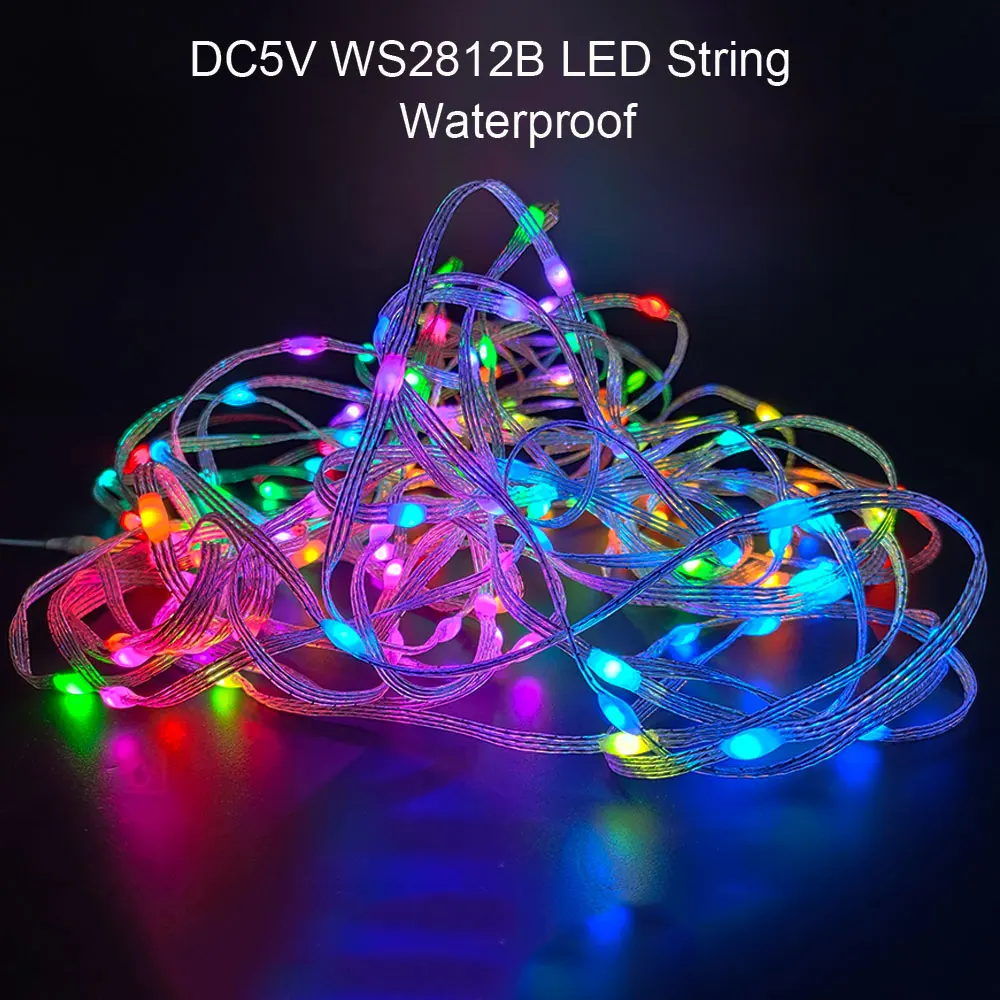 5V WS2812b Christmas Lights WS2812 RGB Addressable Individually LED String With Bluetooth Music Party Wedding Garland Decoration