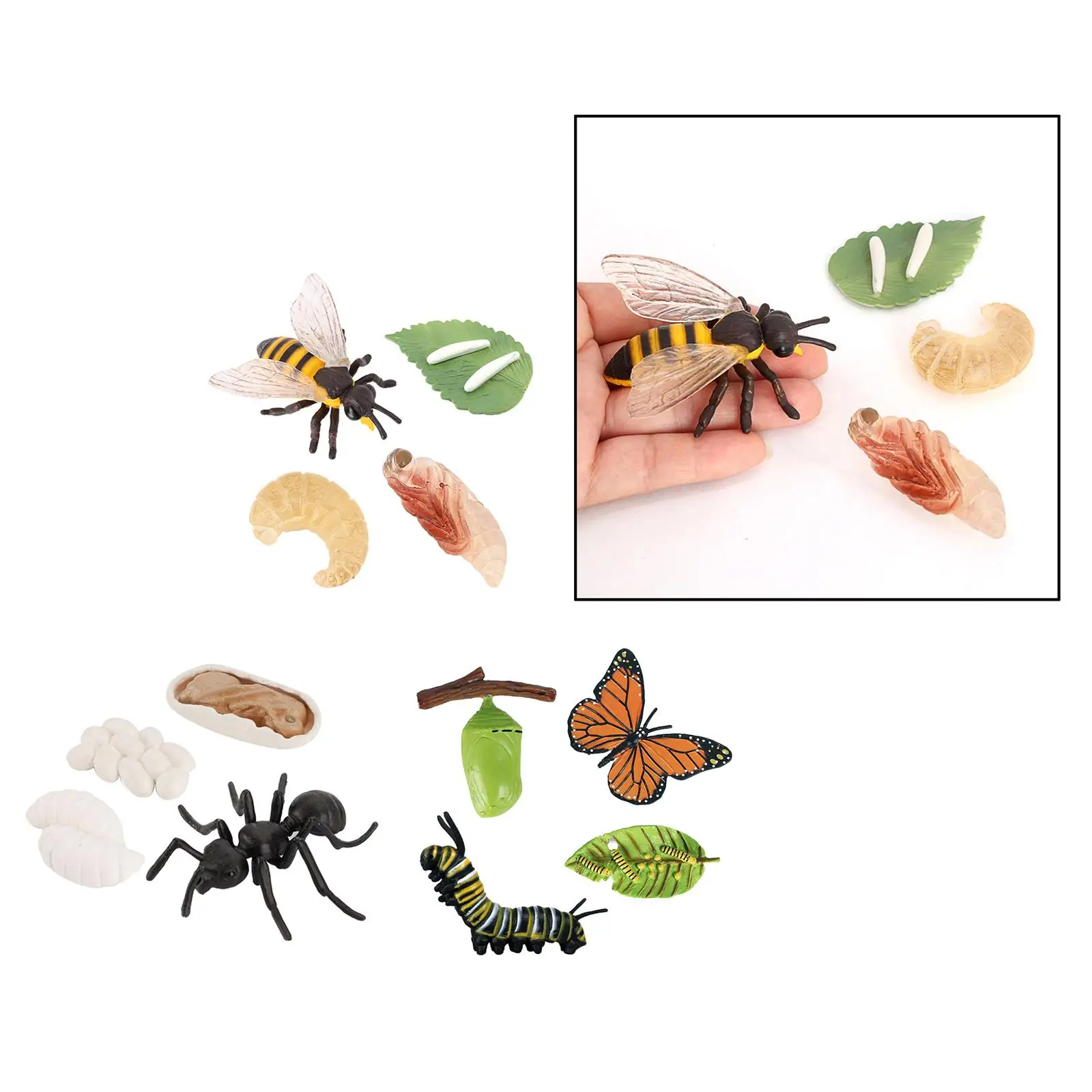 3 Sets Kids Child Animals Growth Process Toy Set Nature Role Play