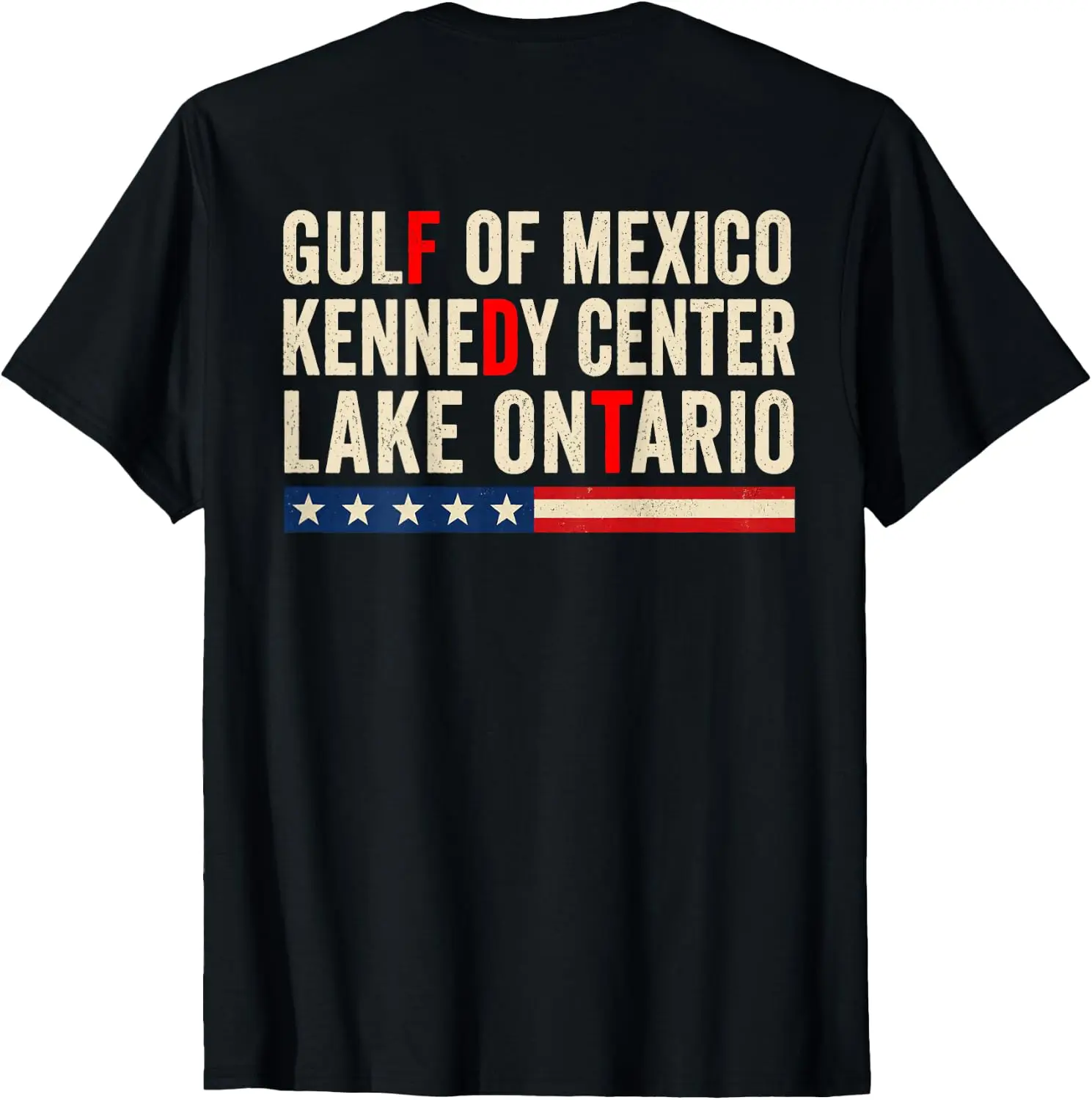 Gulf Of Mexico Kennedy Center Lake Ontario On Back T-Shirt Cute Halloween Pumpkin Short-Sleeve Tee: Fun, Breathable, Pure Cotton, Stylish—Perfect for Sports, Lounging, or Casual Wear.