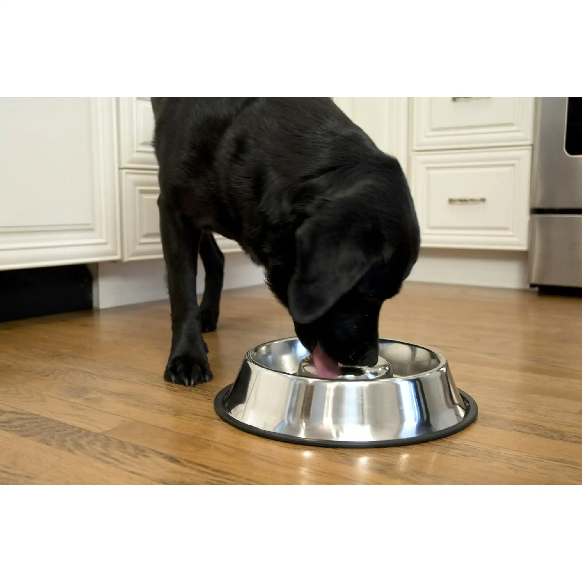 

Slow Feed Stainless Steel Pet Bowl For Dog Or Cat, Small, 12 Oz