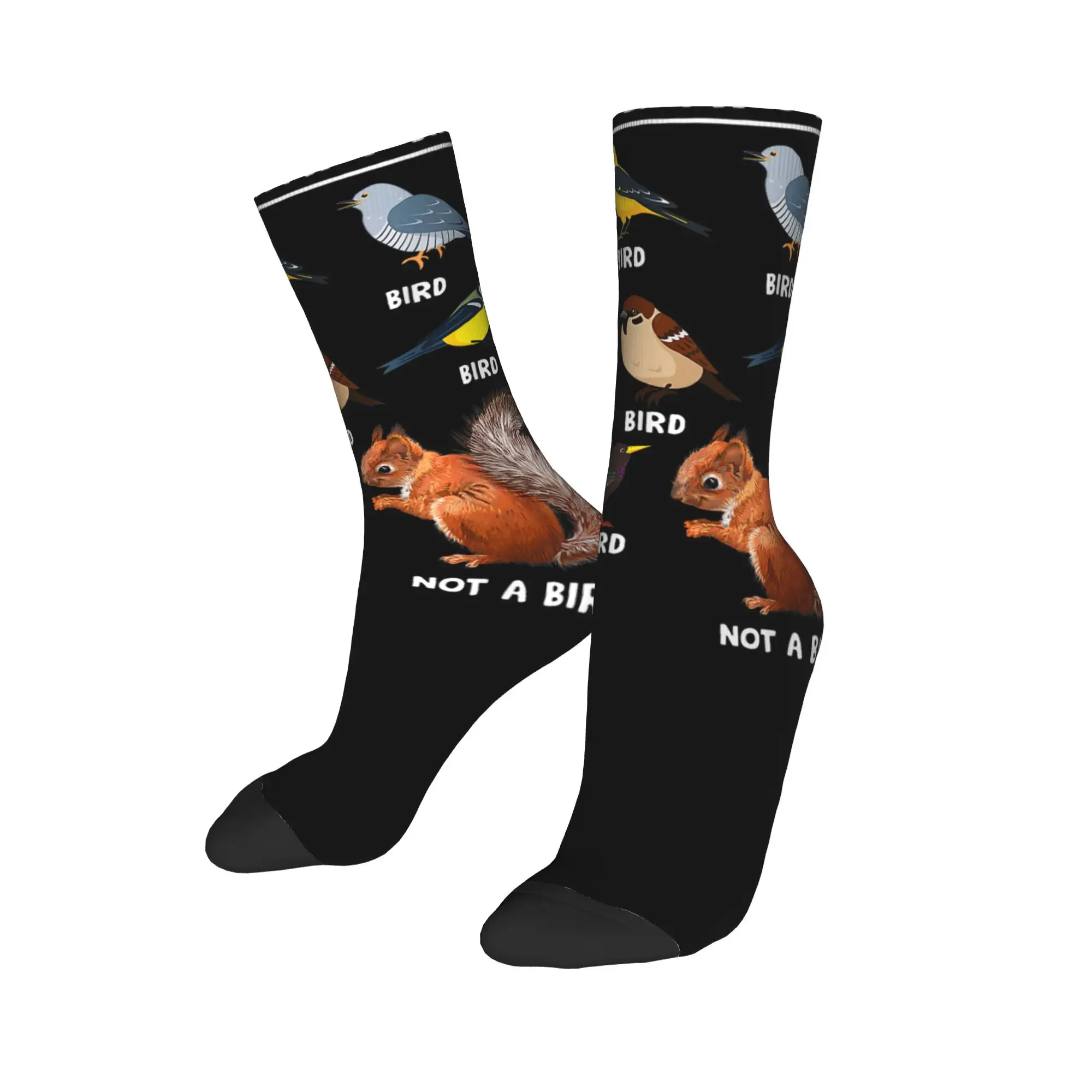 Casual How to Identify Birds Birding Bird Watcher Basketball Socks  Polyester Long Socks for Women Men Breathable