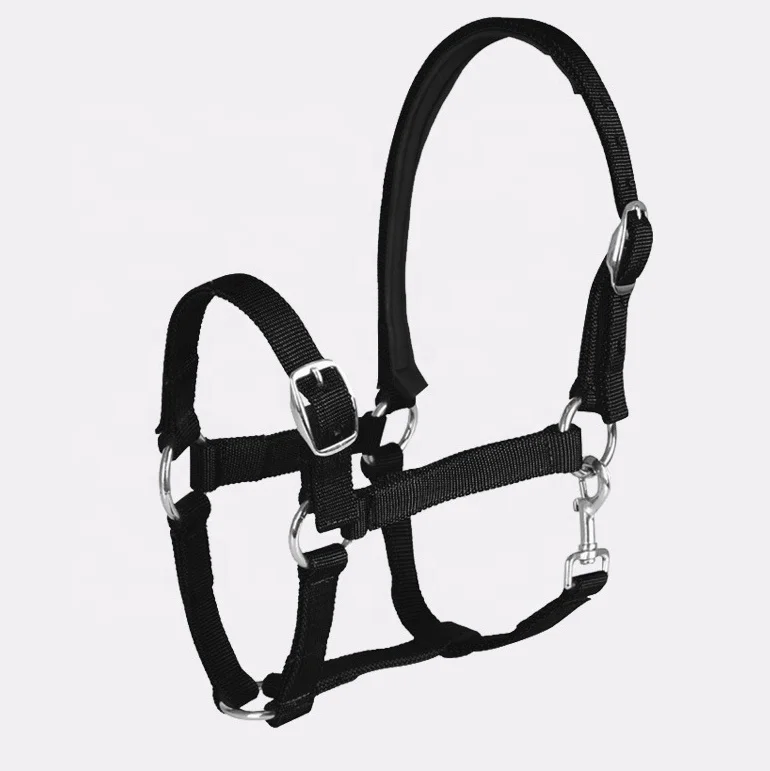 

Custom Anti-Rubbing Waffle Cushion Pad Nylon Horse Halters With Padd Cushion 1