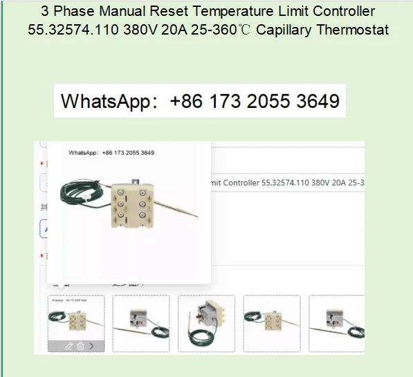 3 Phase Manual Reset Temperature Limit Controller 55.32574.110 380V 20A 25-360℃ Capillary Thermostat