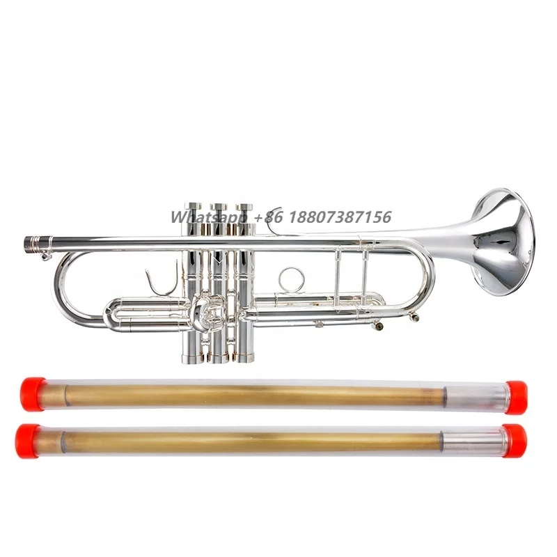 

Профессиональная трумпета SEASOUND Silver Edward с тоном BB, модель JYTR409ED-I, OEM, латунный духовой инструмент