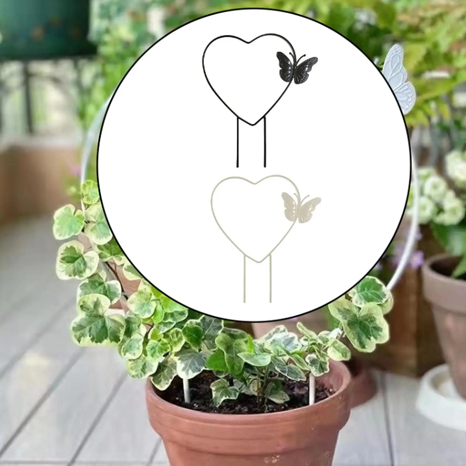 Heart shaped little garden snakes, decorative, for climbing the house plants