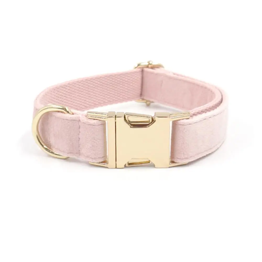 Personalisiertes Hundehalsband aus weichem Samt in mehreren Farben, individuelle kostenlose Gravur, Welpen-Haustierhalsband, passende Leine erhältlich – Detail 19