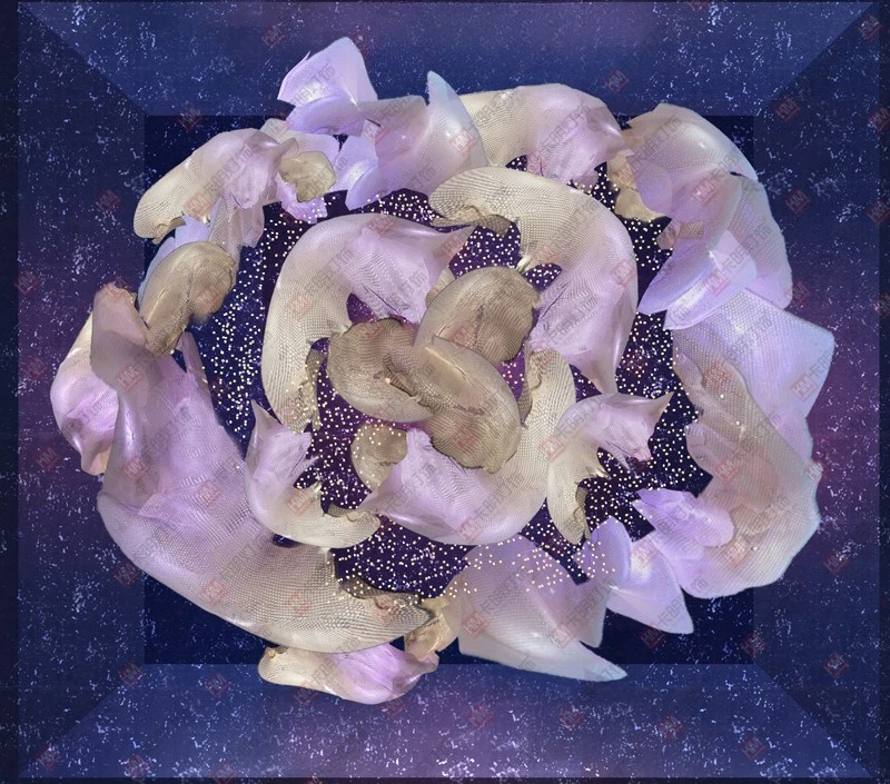 قاعة الولائم لنادي ردهة الفندق، قاعة المؤتمرات الكريستالية، قاعة الأفلام والتلفزيون #2