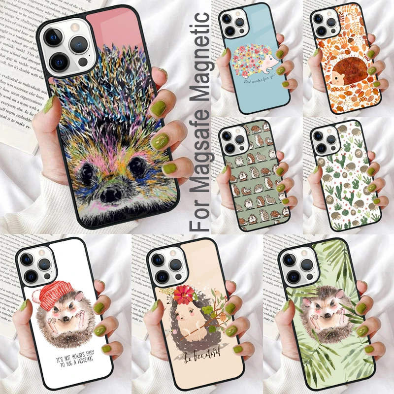 Cute Hedgehog Magnetic Soft Phone Case for iPhone 16 Promax 15 Pro 13 14 Plus 11 12 Mini MagSafe Coque