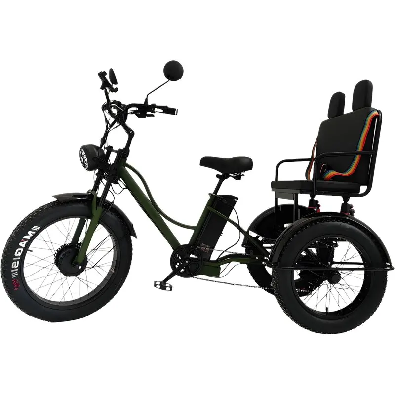 

3 Wheel Electric Tricycle With Passenger Seat For Adult 48V 750W Snow Fat Tire Electric Bike Removable Battery With Safe Belt